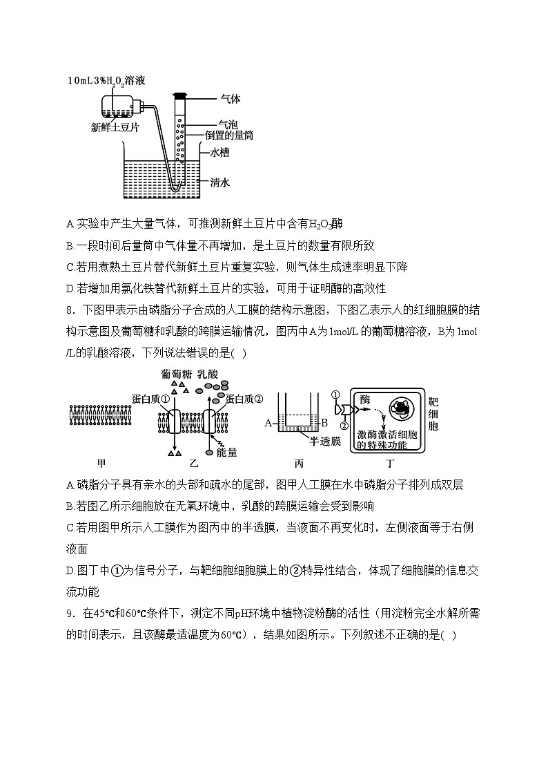 四川省仁寿第一中学校南校区2024-2025学年高一上学期期末模拟考试生物试卷(含答案)第3页