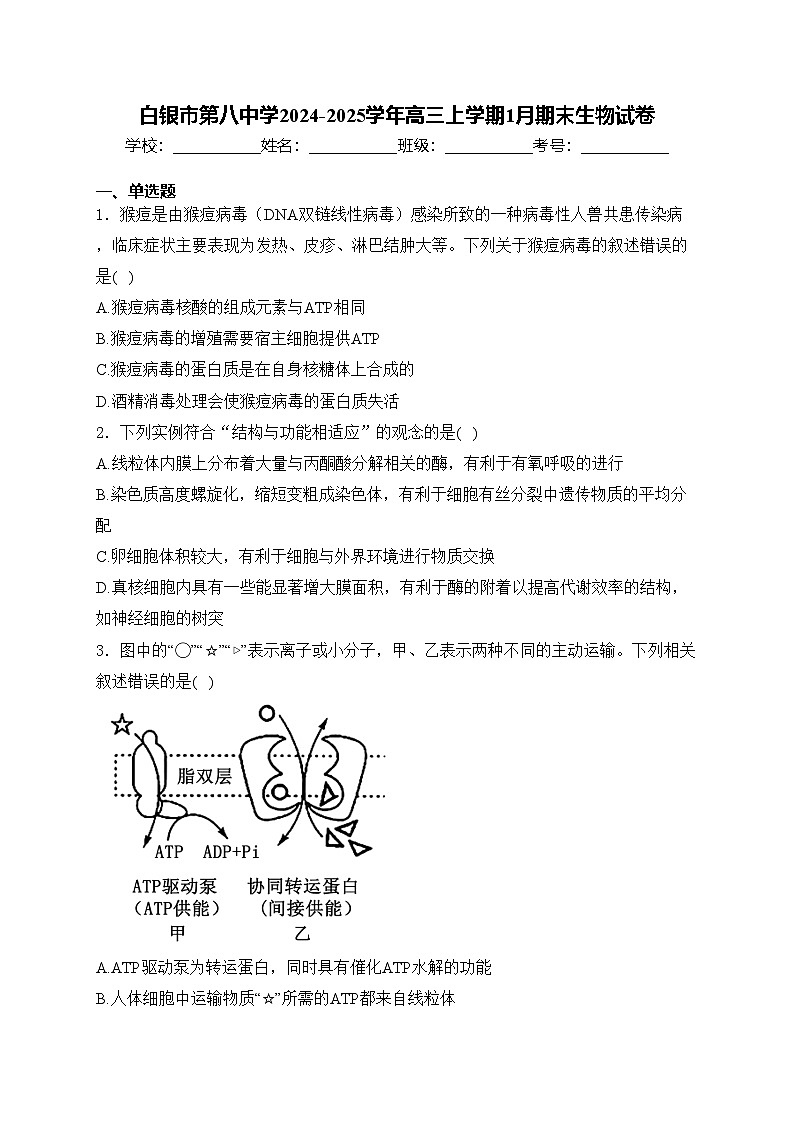 白银市第八中学2024-2025学年高三上学期1月期末生物试卷(含答案)第1页