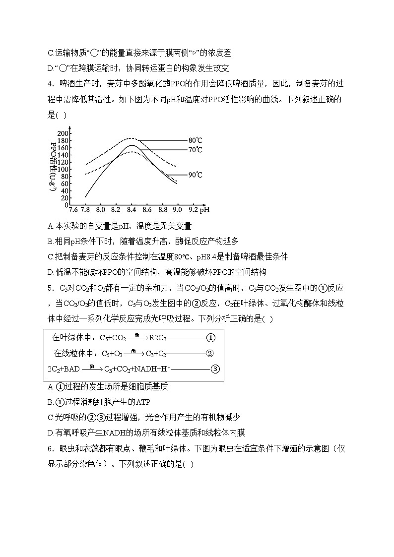 白银市第八中学2024-2025学年高三上学期1月期末生物试卷(含答案)第2页