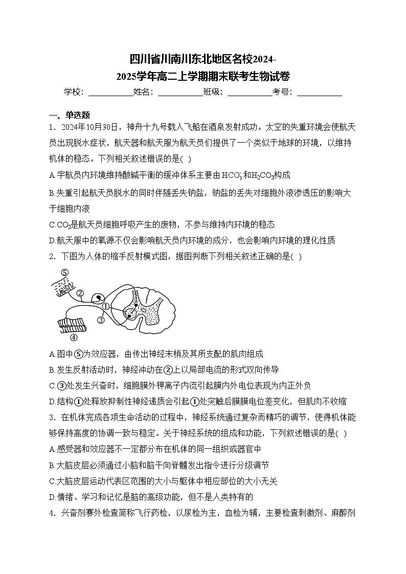 四川省川南川东北地区名校2024-2025学年高二上学期期末联考生物试卷(含答案)第1页