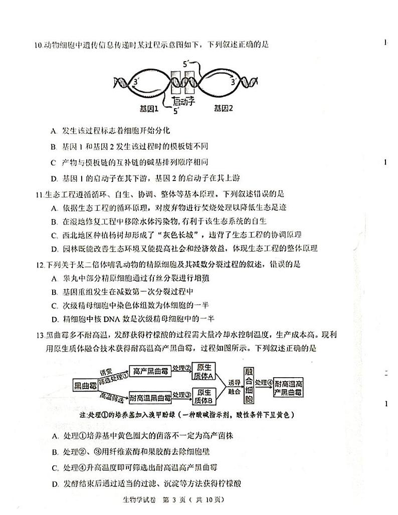 辽宁省大连市2024-2025学年高三上学期期末双基测生物试卷及答案第3页