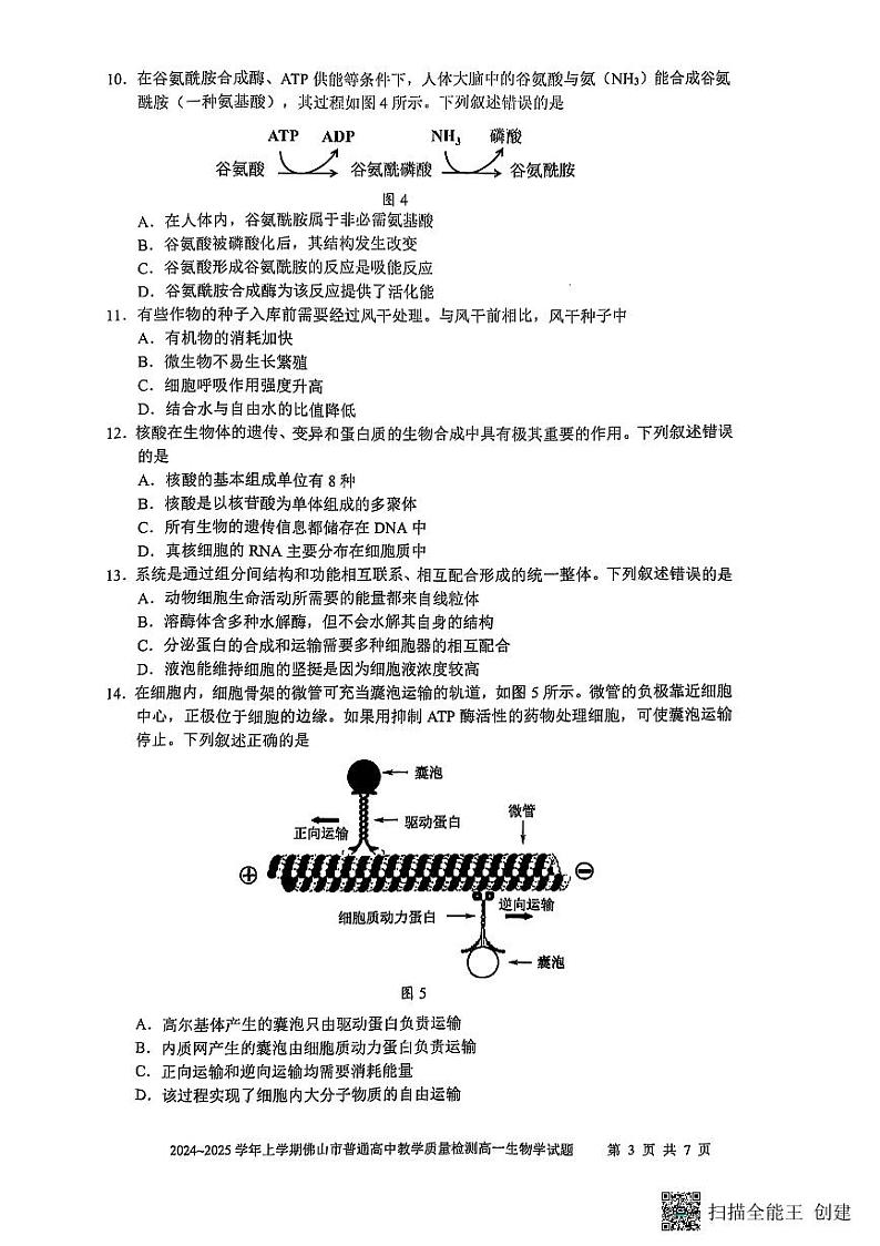广东省佛山市2024-2025学年高一上学期1月期末考试生物试题第3页