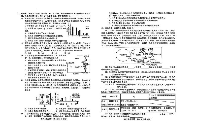山东省潍坊临沂市2025届高三上学期期末质量检测-生物试卷+答案第3页
