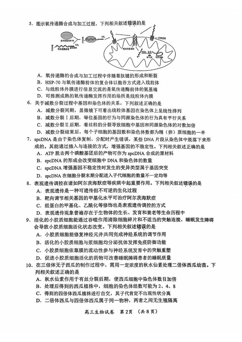 江苏省常州市2025届高三上学期期末质量调研考试-生物试题+答案第2页