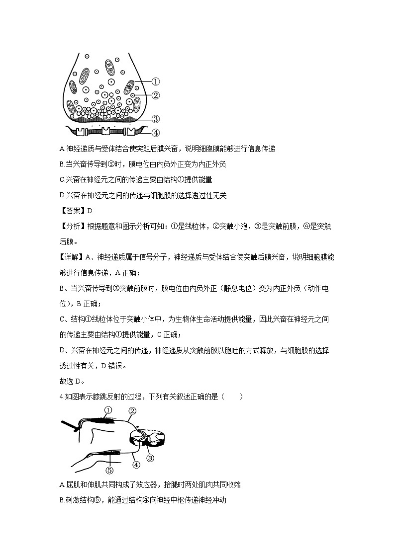 2024-2025学年广东省茂名市电白区高二上学期11月期中生物试卷（解析版）第3页