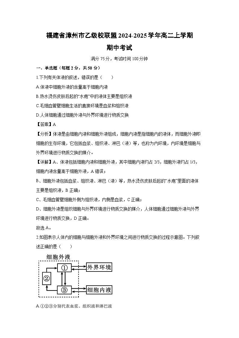 2024-2025学年福建省漳州市乙级校联盟高二上学期期中考试生物试卷（解析版）第1页
