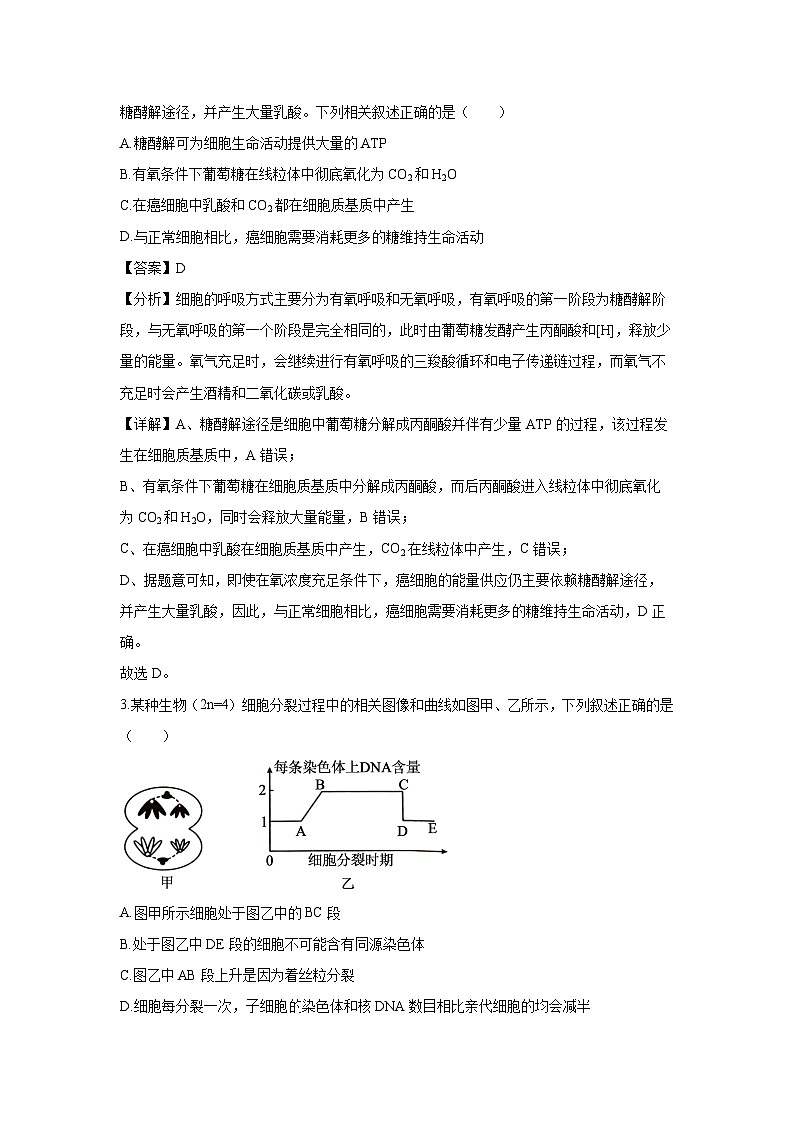 2024-2025学年广东省部分重点高中高二上学期期中考试生物试卷（解析版）第2页