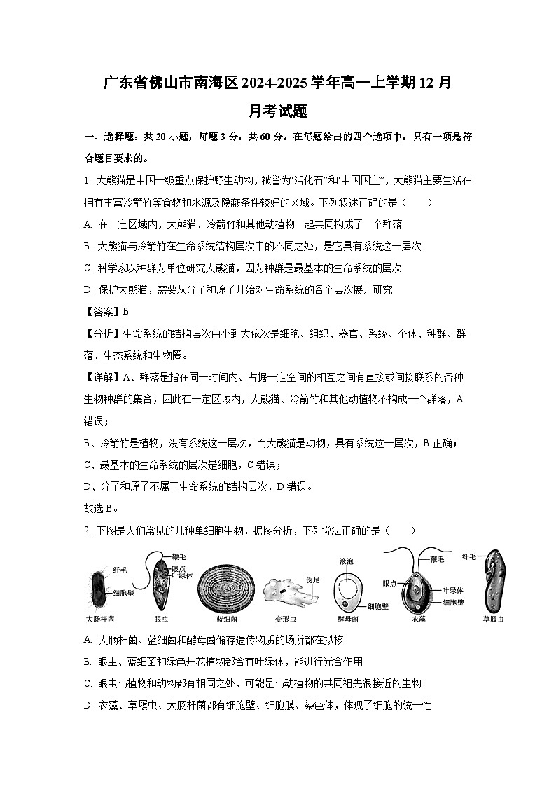 2024-2025学年广东省佛山市南海区高一上学期12月月考生物试卷（解析版）第1页