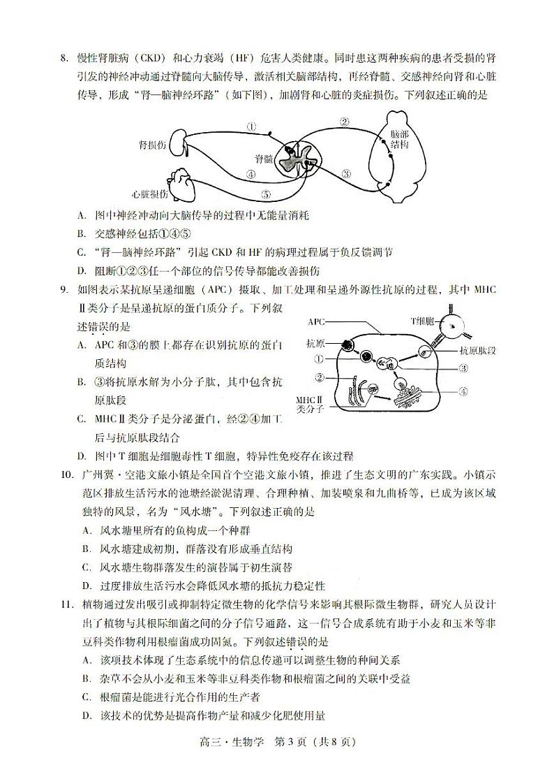 广东省肇庆市肇庆暨汕尾2025届高中毕业班第二次模拟考试期末考-生物试卷+答案第3页