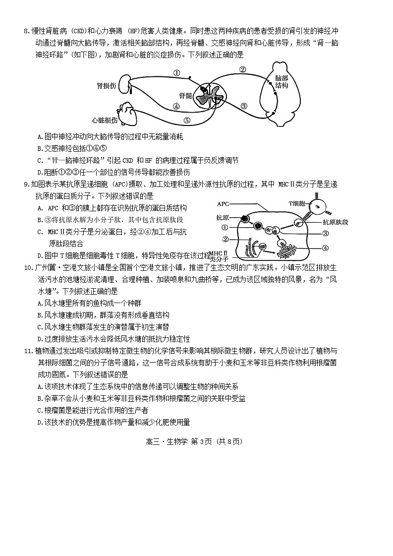 广东省肇庆市2025届高三上学期第二次模拟考试暨汕尾期末考试生物含答案第3页