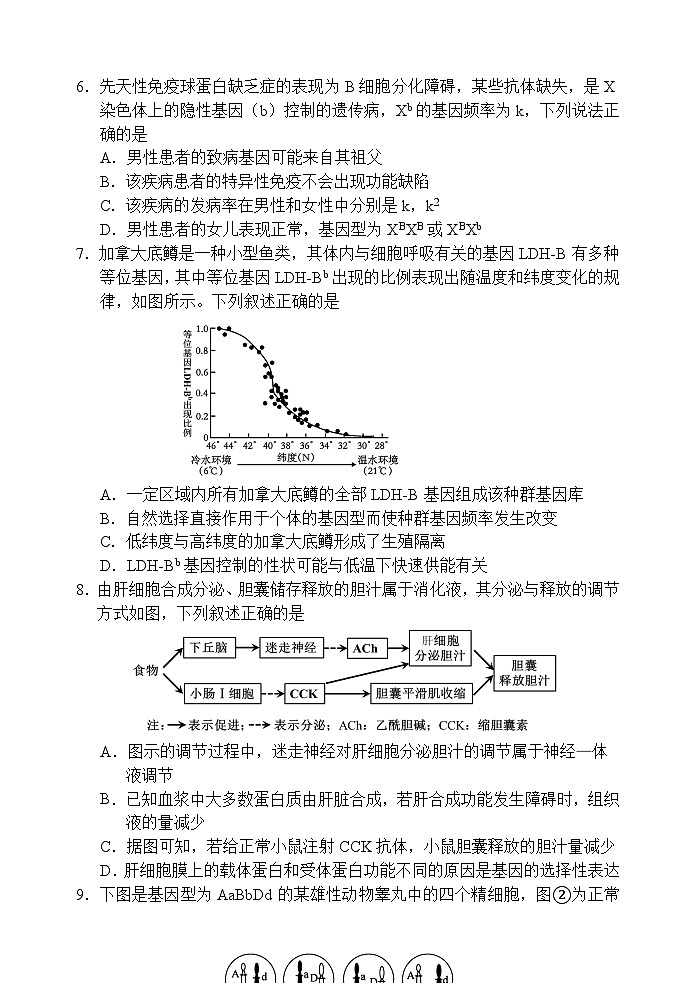 天津市五区县重点校2024-2025学年高三上学期1月期末生物第2页