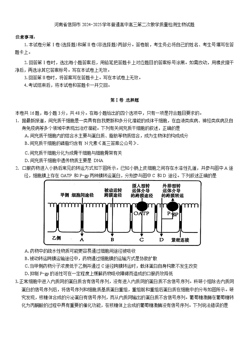 河南省信阳市2024-2025学年普通高中高三第二次教学质量检测生物试题第1页