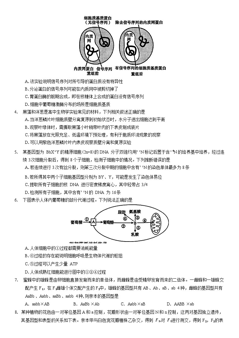 河南省信阳市2024-2025学年普通高中高三第二次教学质量检测生物试题第2页