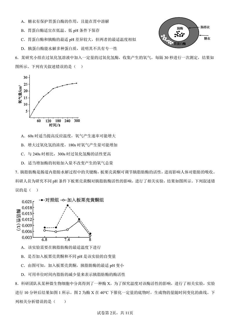 山东省聊城市临清市实验高级中学2024-2025学年高一上学期12月考试生物试题第2页