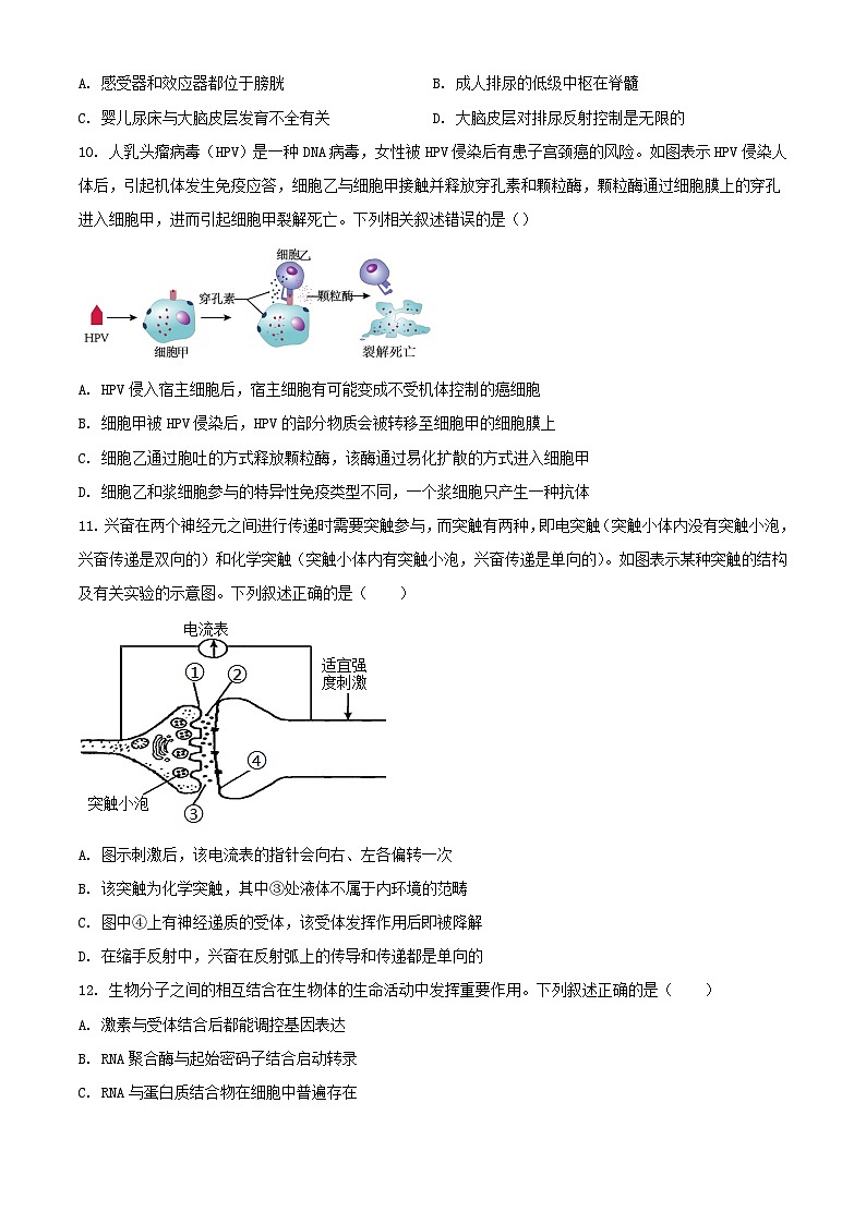 河南省周口市2023_2024学年高二生物上学期12月月考试题含解析第3页