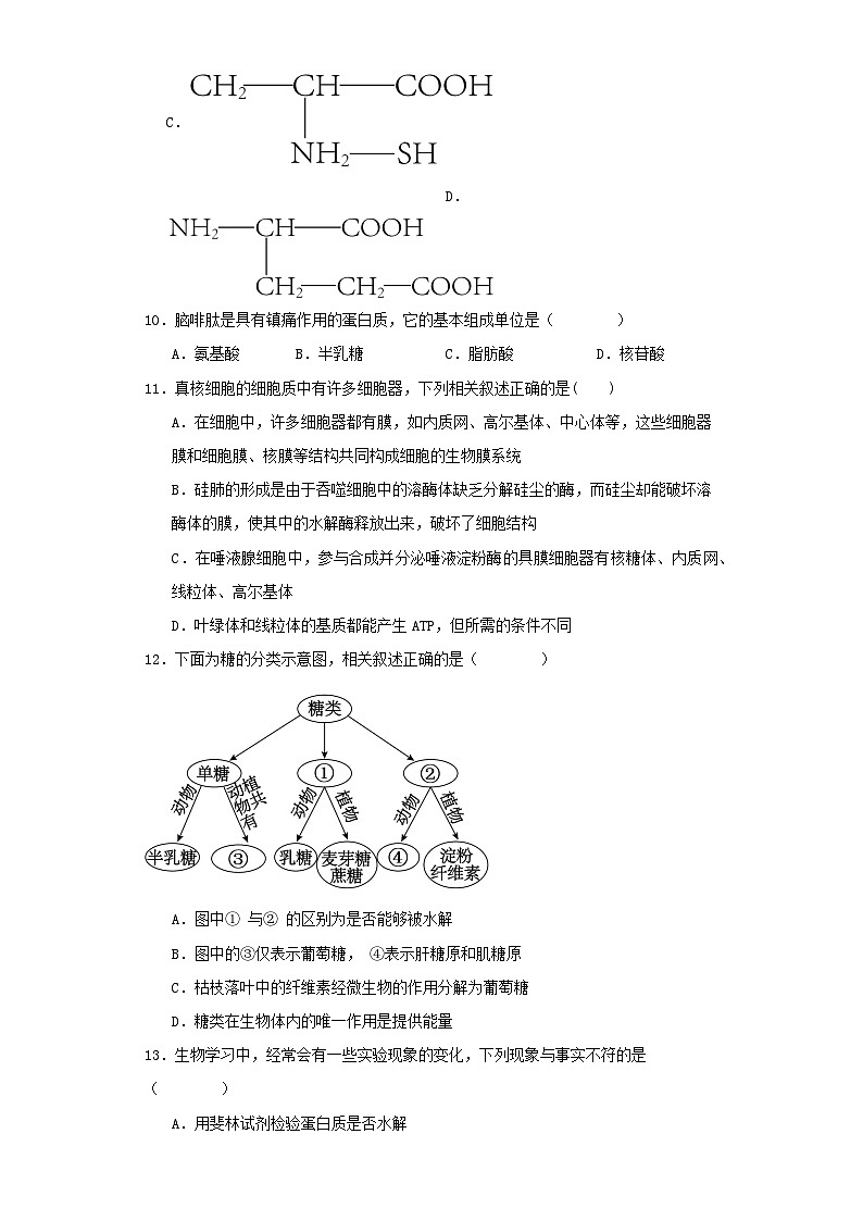 河南省周口市2023_2024学年高一生物上学期12月月考试题含解析第3页