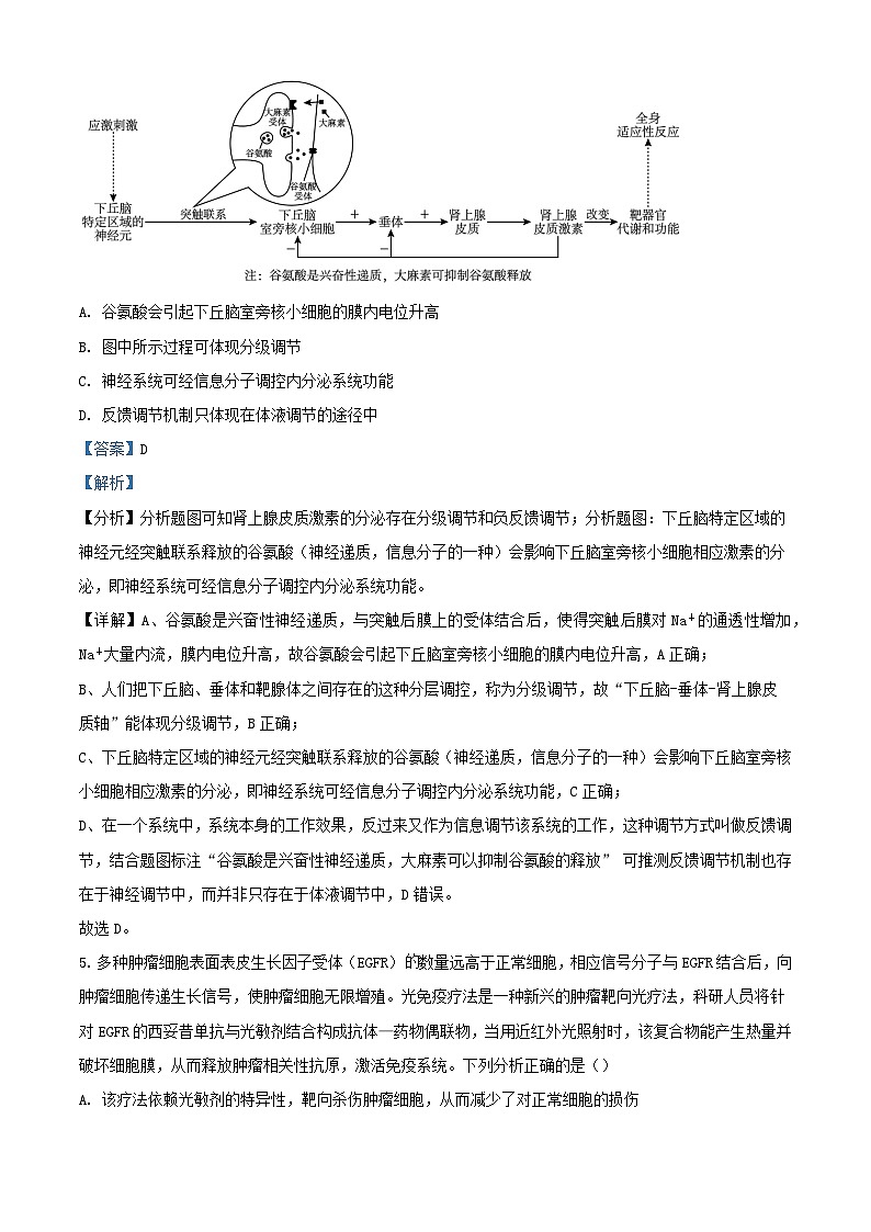 湖南省长沙市2023_2024学年高二生物上学期12月月考试题含解析第3页