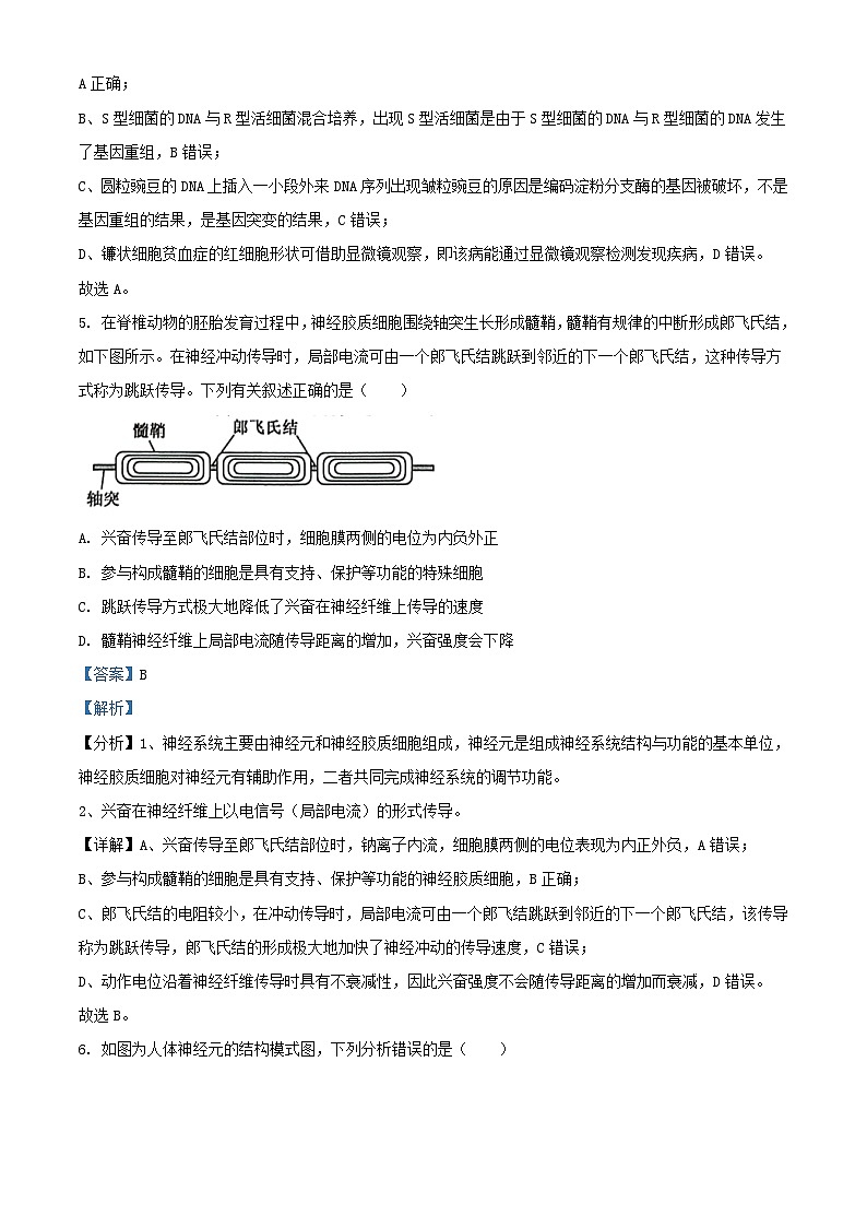 重庆市黔江区2023_2024学年高二生物上学期12月月考试题含解析第3页