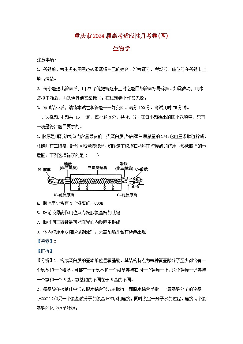 重庆市2023_2024学年高三生物上学期第四次月考试题含解析第1页