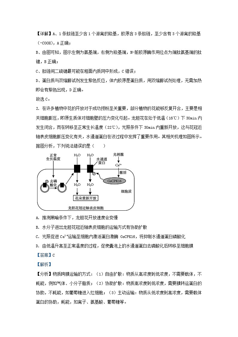 重庆市2023_2024学年高三生物上学期第四次月考试题含解析第2页