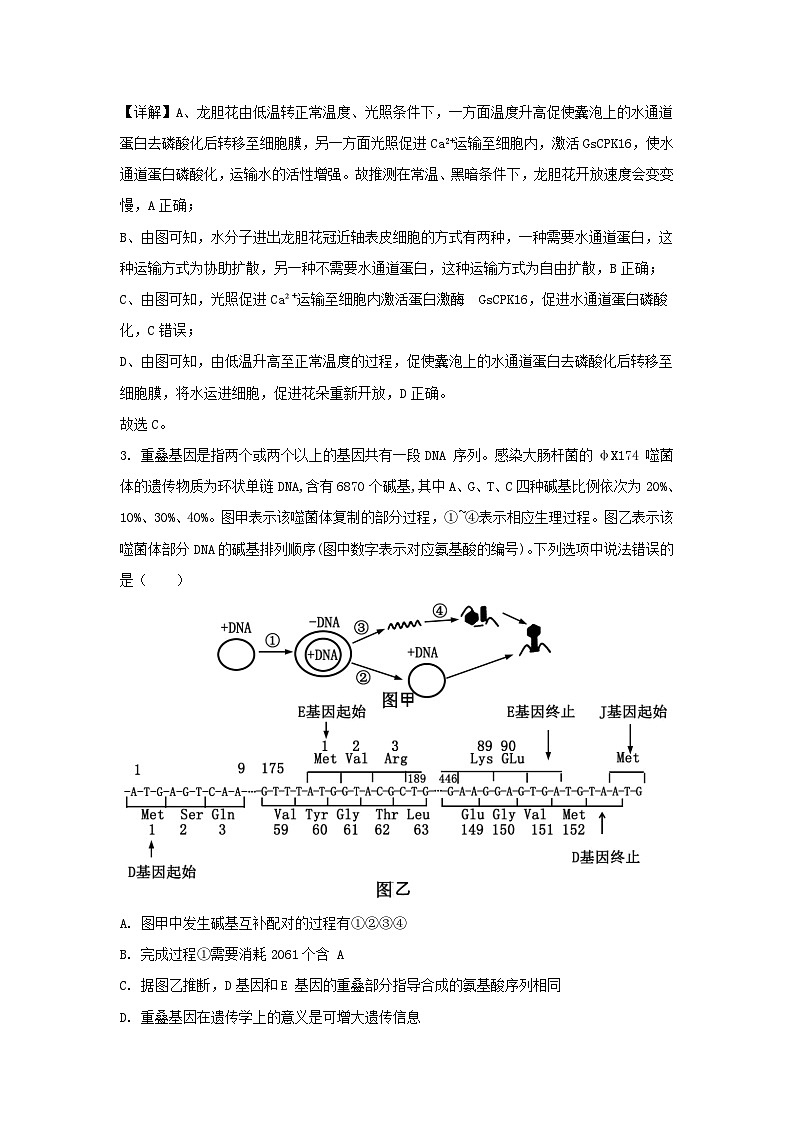 重庆市2023_2024学年高三生物上学期第四次月考试题含解析第3页