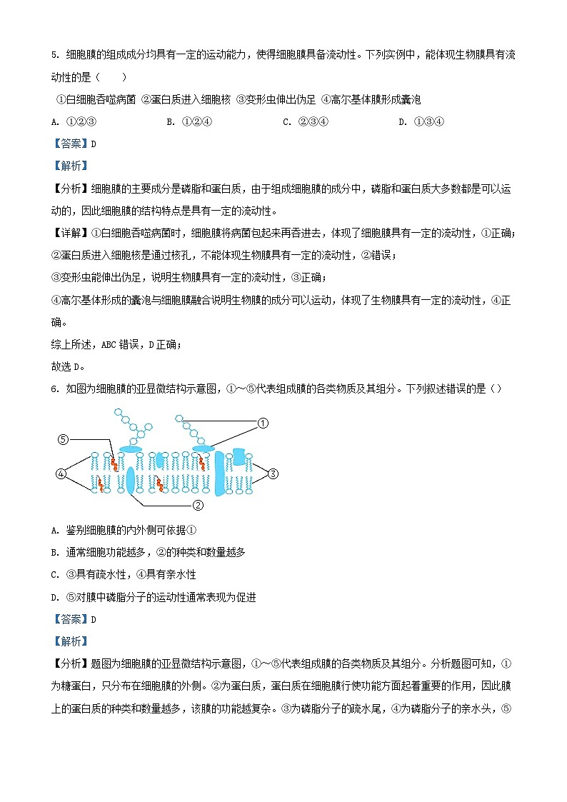 浙江省绍兴市2023_2024学年高一生物上学期12月月考试题含解析第3页