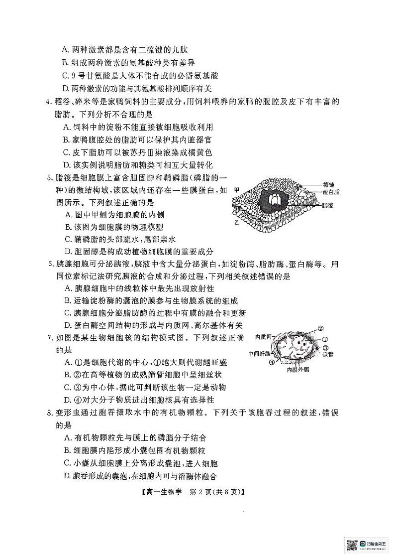 广东省茂名市高州市广东高州中学2024-2025学年高一上学期1月期末生物试题第2页