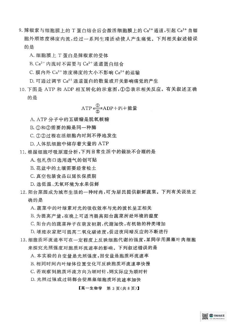 广东省茂名市高州市广东高州中学2024-2025学年高一上学期1月期末生物试题第3页