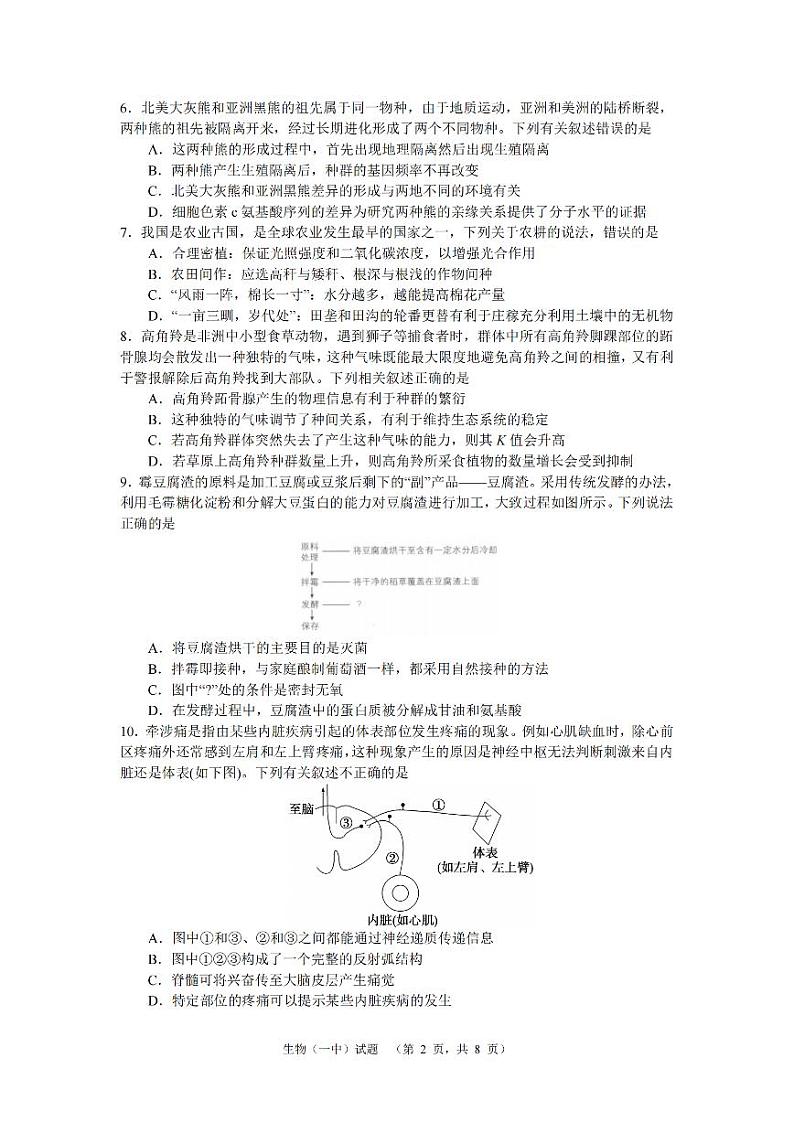 湖南省长沙市一中2024-2025学年高三上学期阶段性检测（一）生物试卷+答案第2页