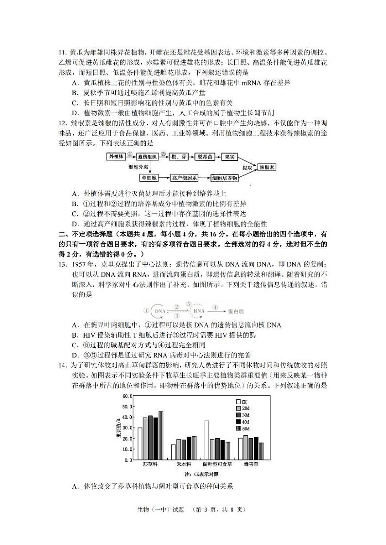 湖南省长沙市一中2024-2025学年高三上学期阶段性检测（一）生物试卷+答案第3页