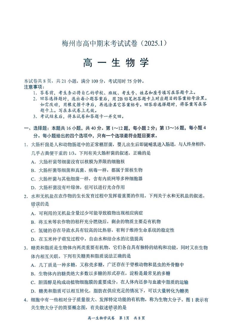 广东省梅州市2024-2025学年高一上学期1月期末生物试题第1页