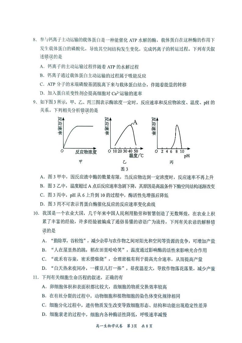 广东省梅州市2024-2025学年高一上学期1月期末生物试题第3页