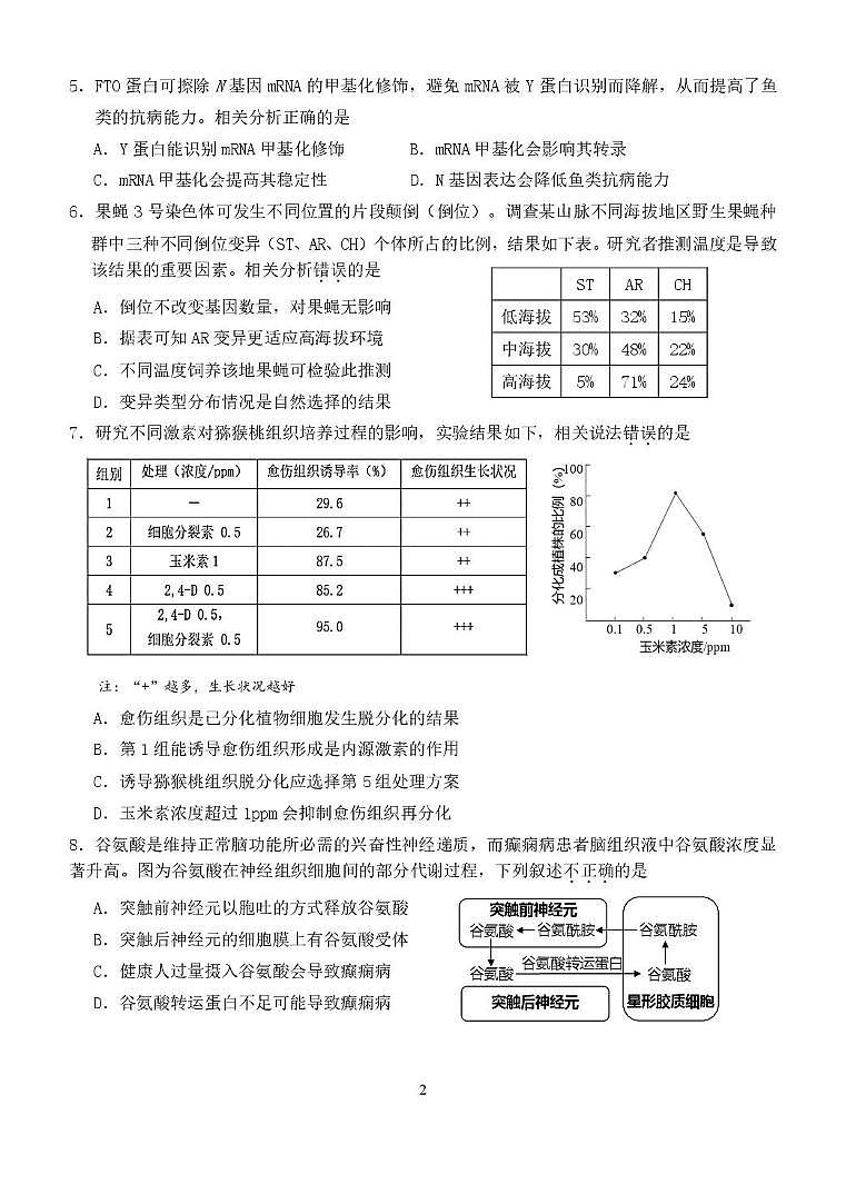 北京师范大学附属实验中学2024—2025学年高三上学期期末考试生物试题第2页