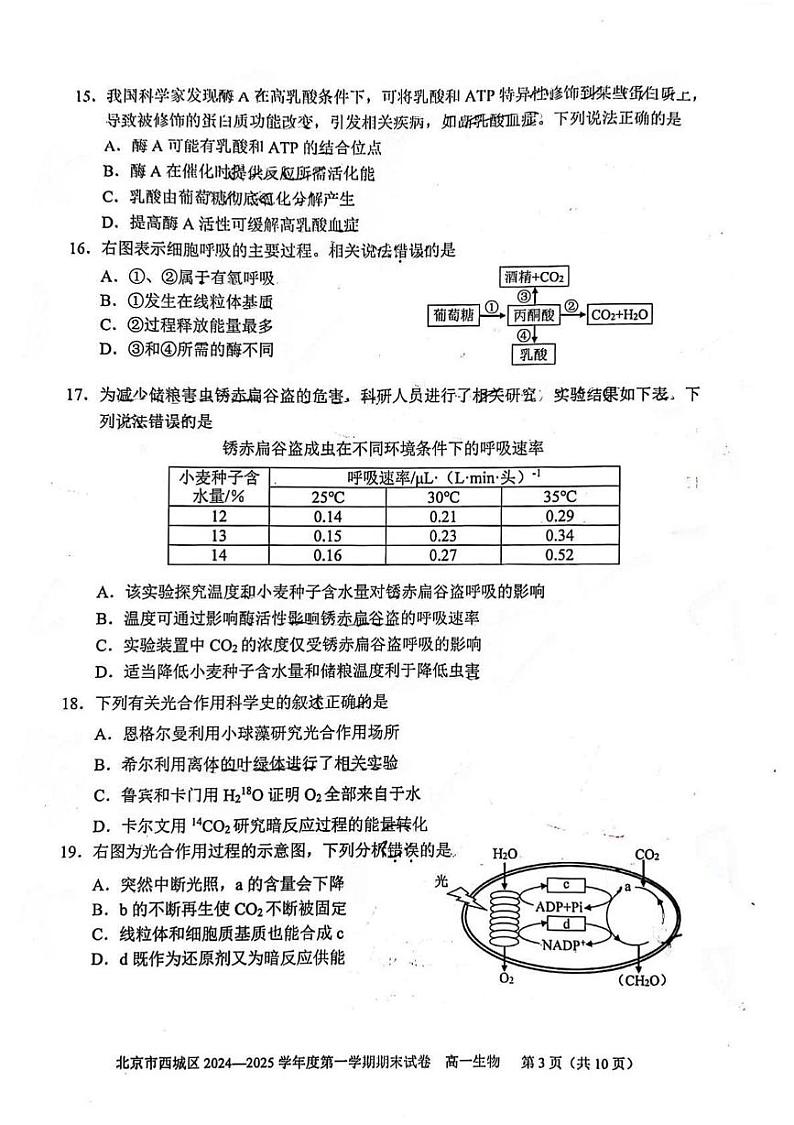 北京市西城区2024—2025学年高一上学期期末考试生物试题第3页