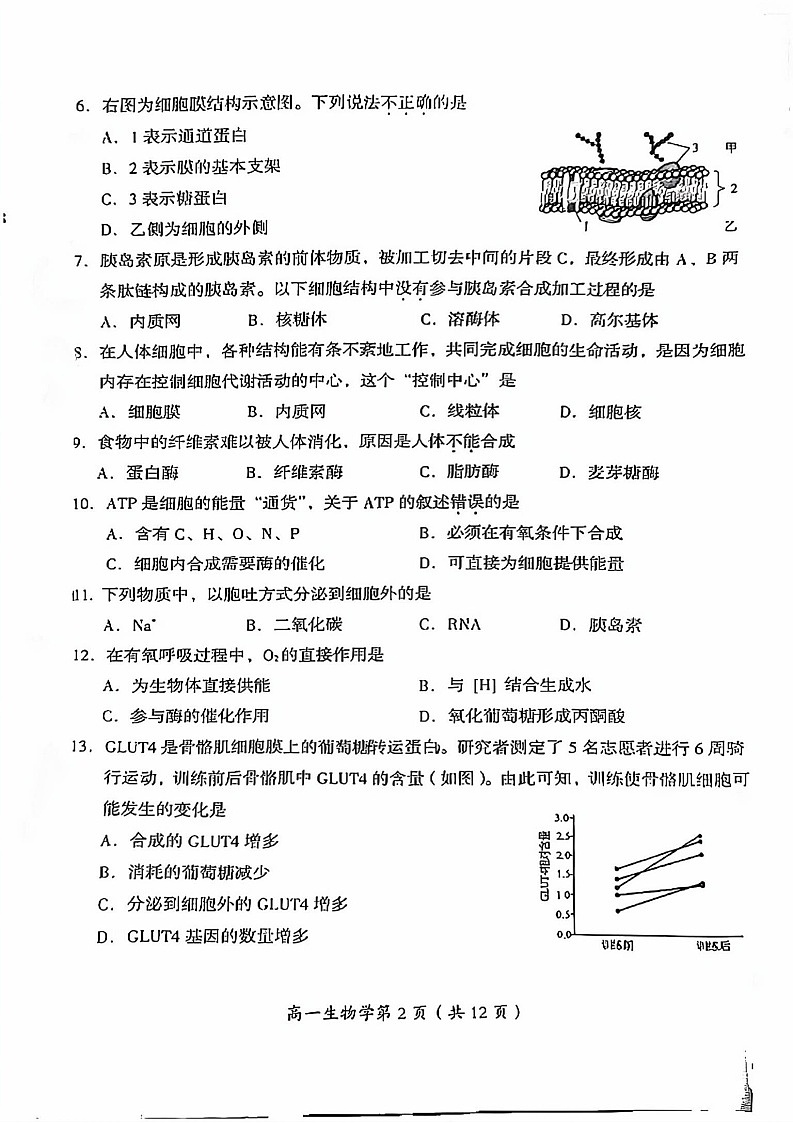 2025北京房山高一上学期末生物试卷和参考答案第2页