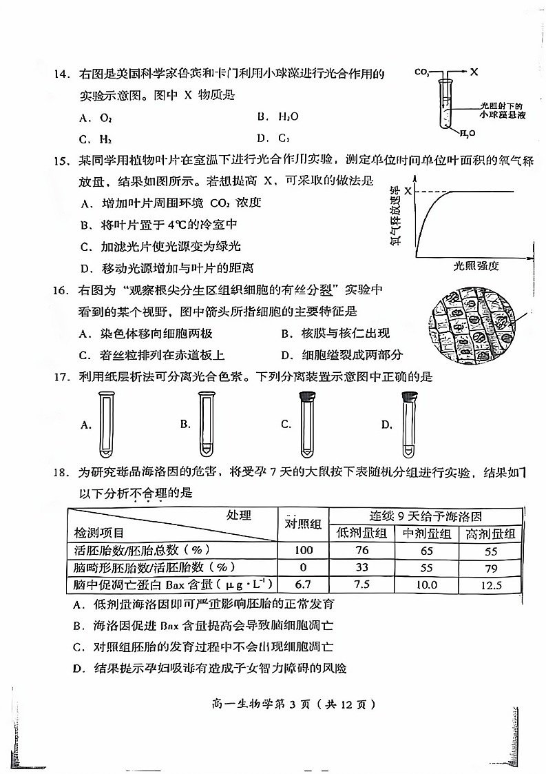 2025北京房山高一上学期末生物试卷和参考答案第3页