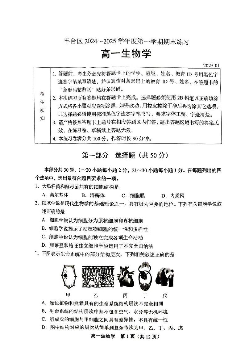 2025北京丰台高一（上）期末生物试卷和参考答案第1页