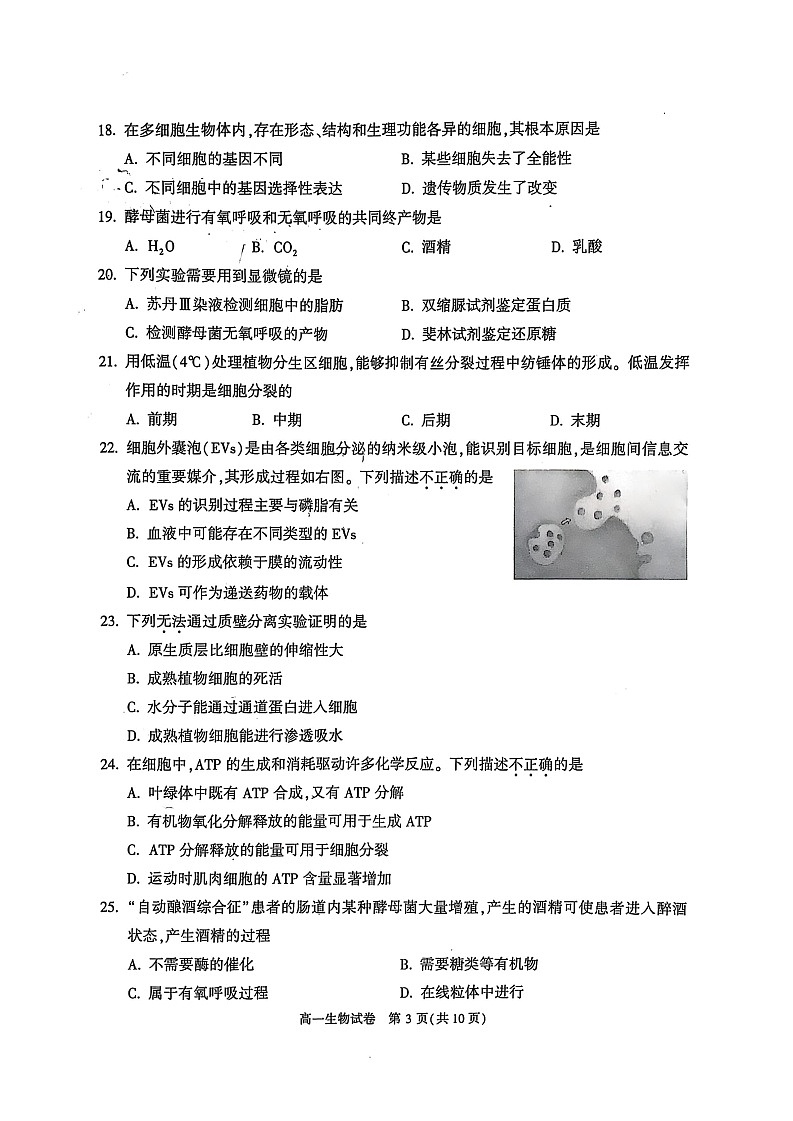 2025北京顺义高一上学期期末生物试卷和参考答案第3页