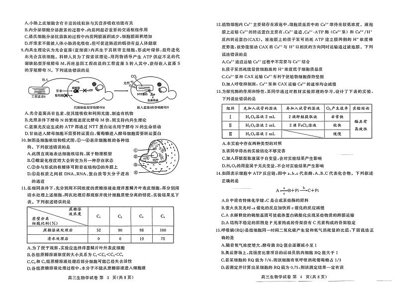 湖北省黄冈市2024年高三年级9月调研考试生物+答案第2页