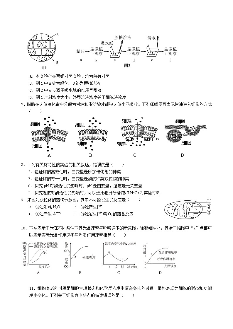 湖南省张家界市2024-2025学年高一上学期期末考试 生物 Word版含答案第2页