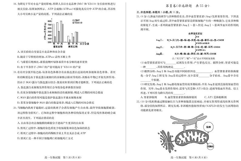 山东省德州市2024-2025学年高一上学期1月联考试题 生物 PDF版含答案第3页