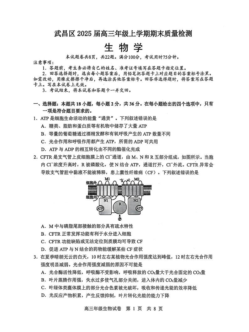 生物丨湖北省武汉市武昌区2025届高三1月期末质量检测（武昌元调）生物试卷及答案第1页