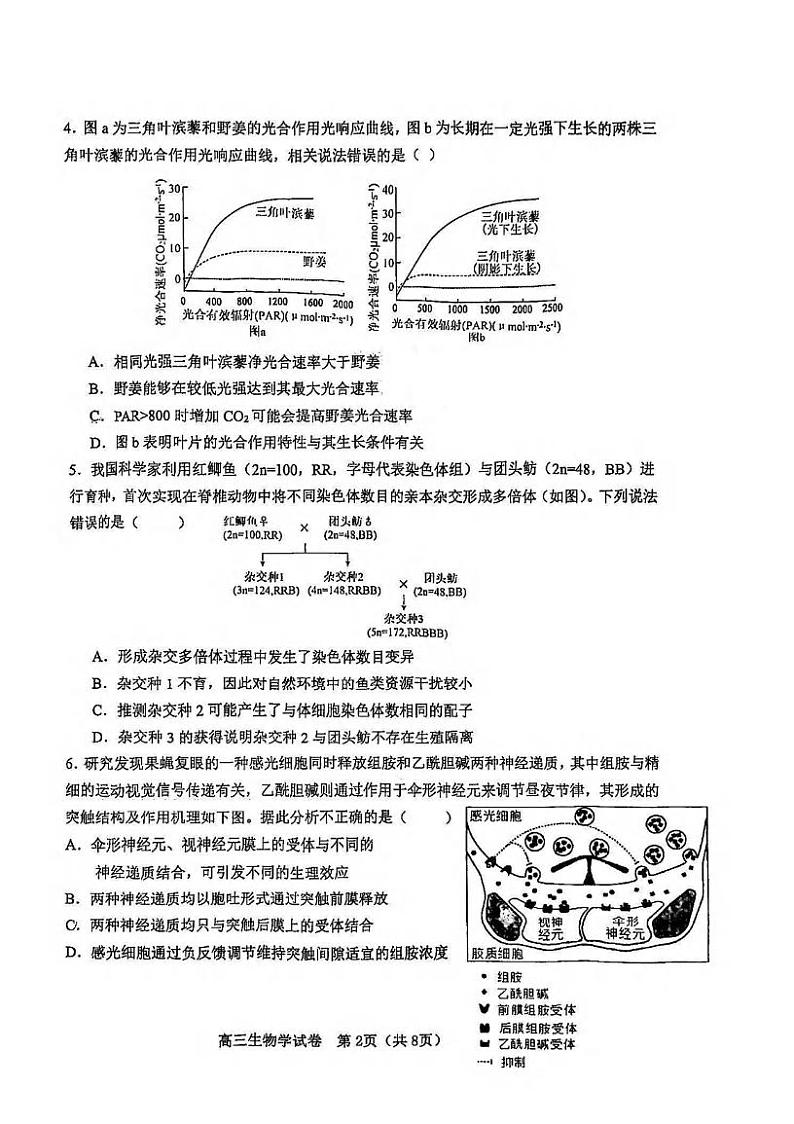生物丨天津市河东区2025届高三1月期末质量检测生物试卷及答案第2页