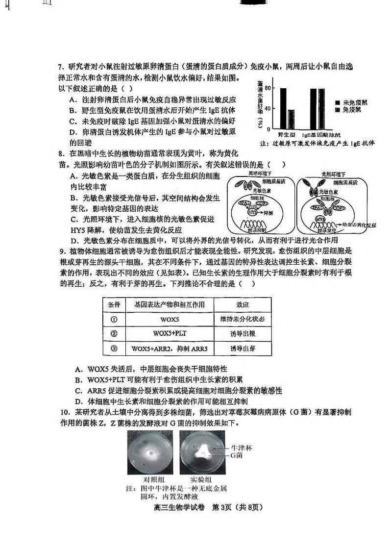 生物丨天津市河东区2025届高三1月期末质量检测生物试卷及答案第3页