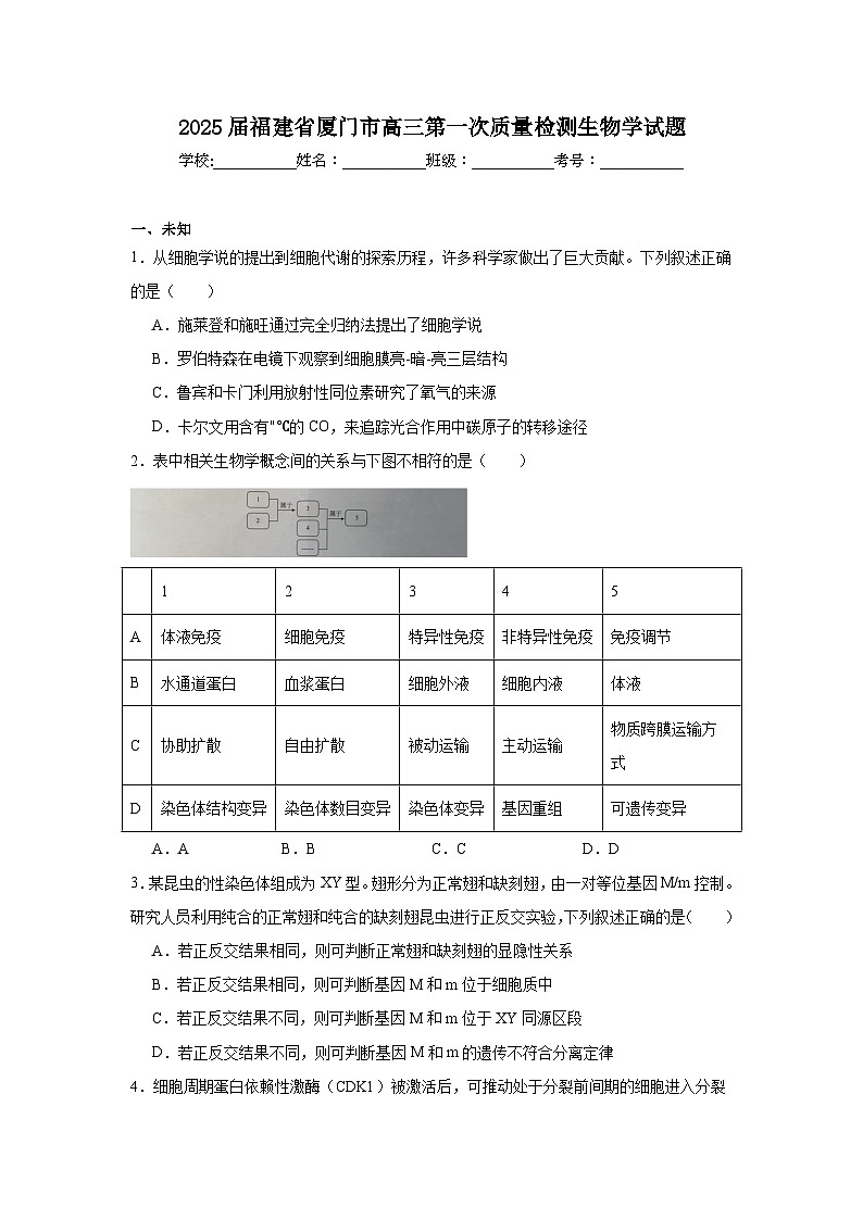 2025届福建省厦门市高三第一次质量检测生物学试题第1页