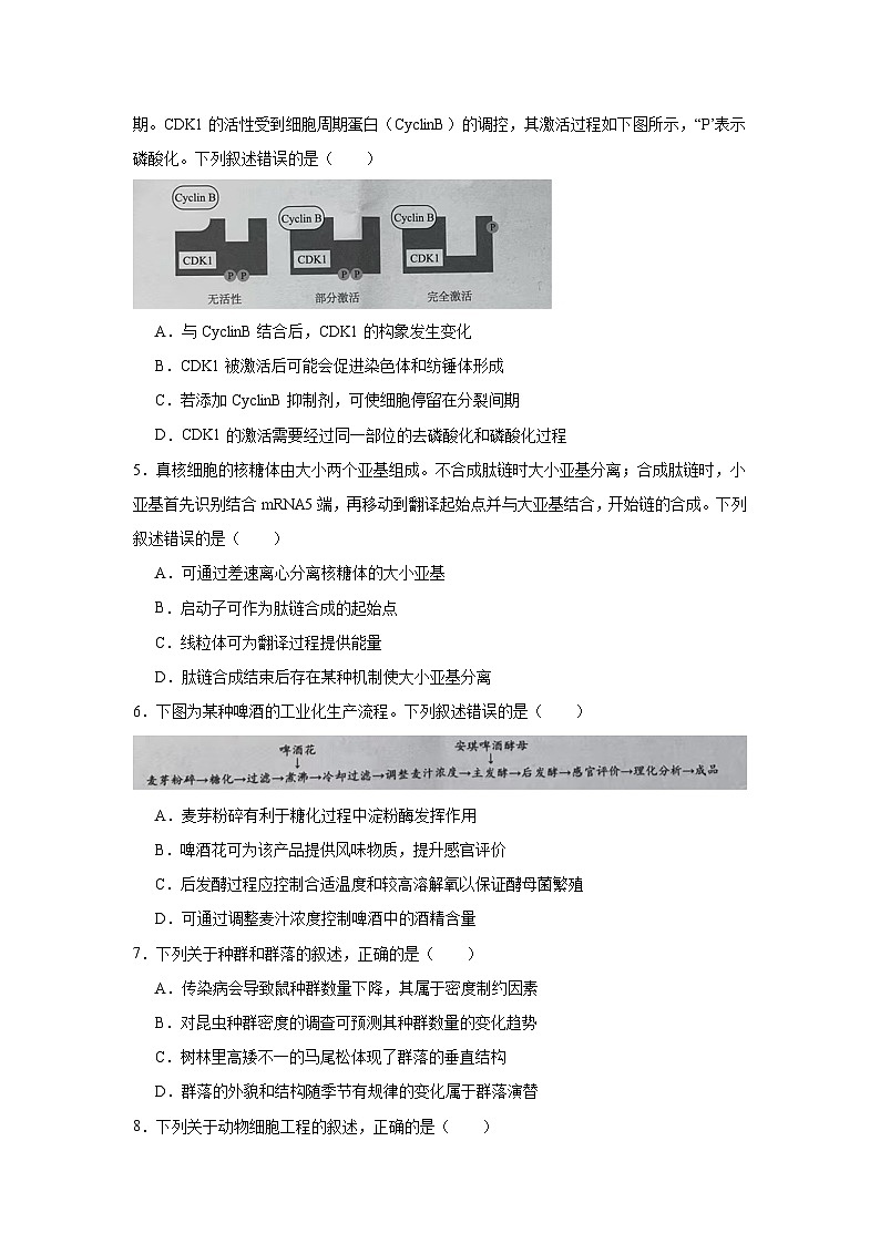 2025届福建省厦门市高三第一次质量检测生物学试题第2页