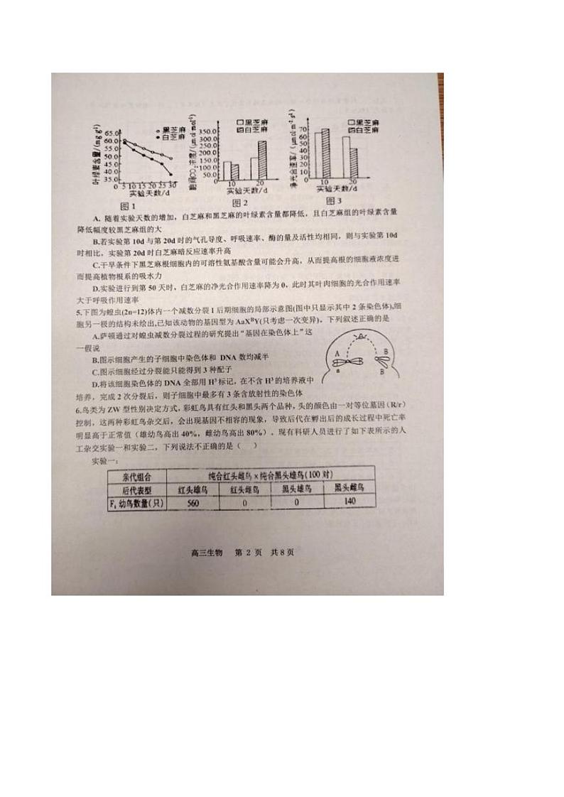 2025景德镇高三上学期第二次质量检测试题生物PDF版含答案第2页