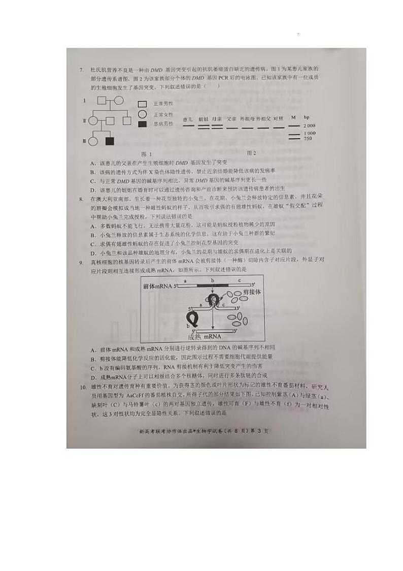 2025湖北省部分名校高三上学期1月联考试题（云学联盟）生物PDF版含答案第3页