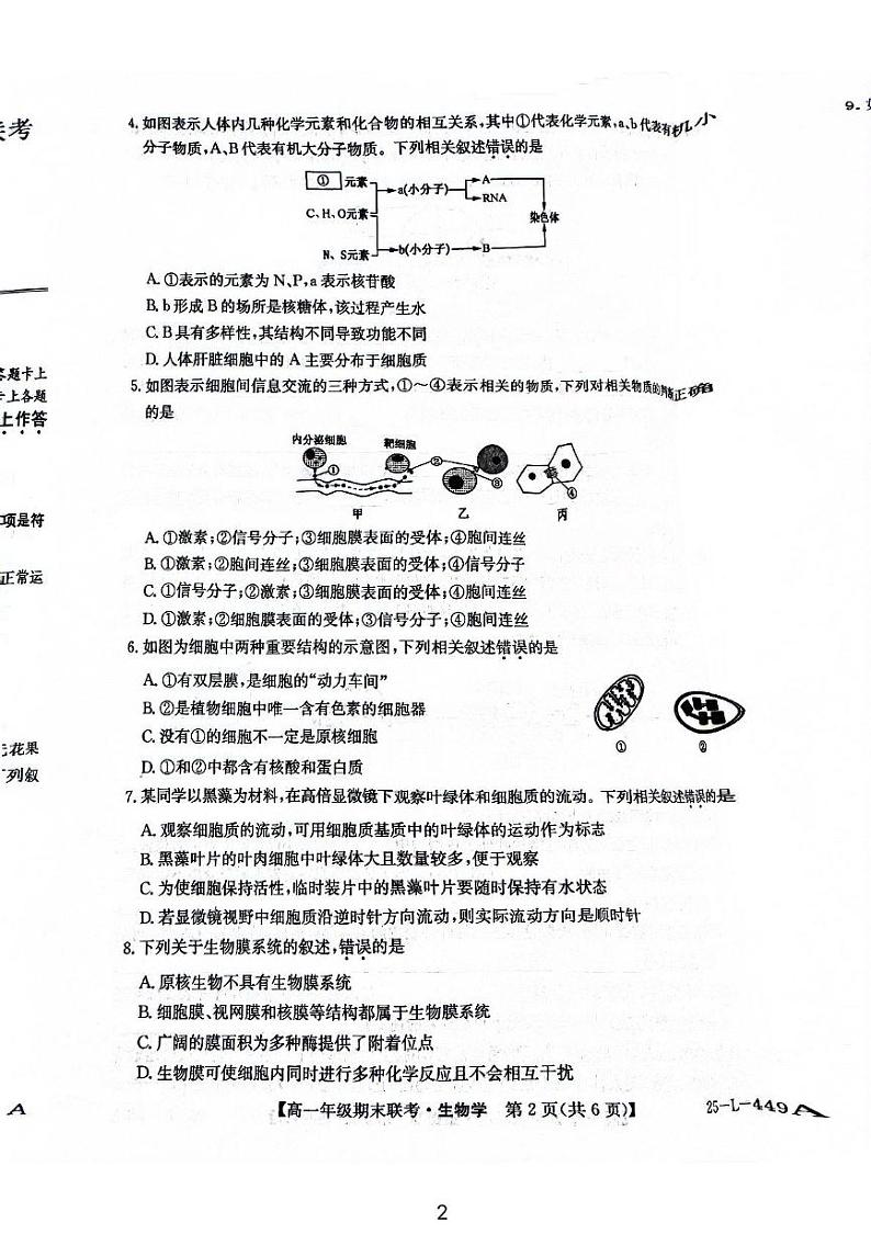 安徽省砀山县2024-2025学年高一上学期期末考试生物试题第2页