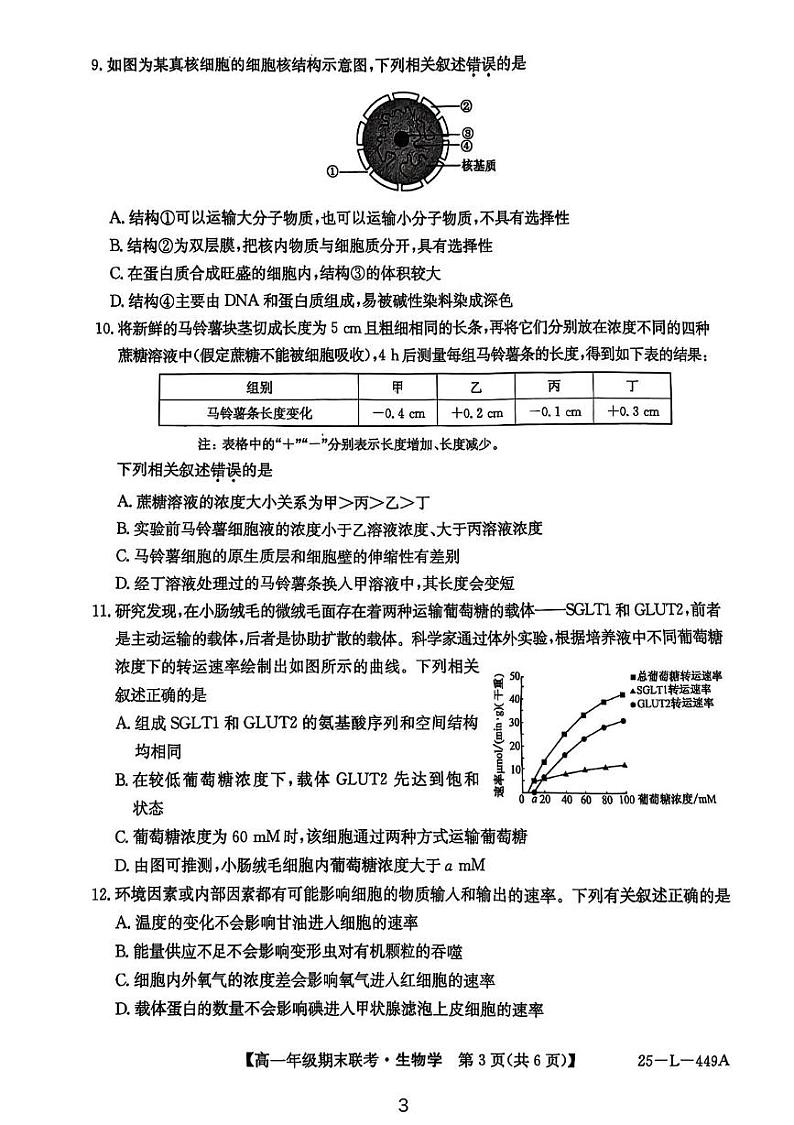 安徽省砀山县2024-2025学年高一上学期期末考试生物试题第3页